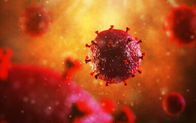 Virus HIV-a, ilustracija
