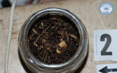 Istarska policija: Kod muškarca u Žminju pronađeni droga, novac i oružje