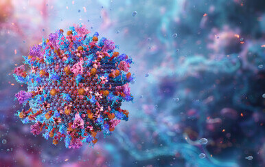 Virus afričke svinjske kuge
