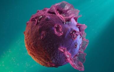 Epstein-Barr virus: Simptomi koji mogu potrajati mjesecima