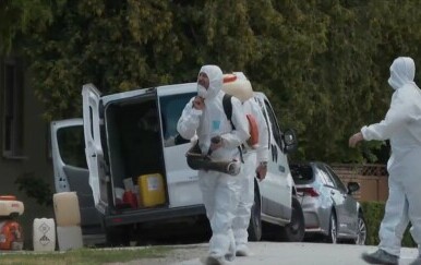 U Hrvatskoj potvrđen još jedan slučaj afričke svinjske kuge