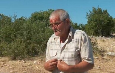 Stočari na rubu živaca, a uzorci još nisu ni stigli na analizu