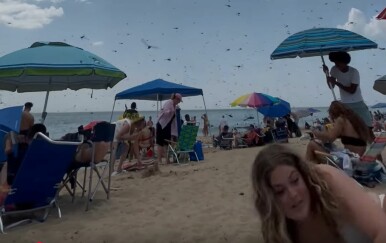 Najezda im upropastila dana na plaži, kako biste vi reagirali?