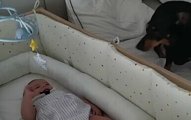 Reakcija psa na uplakanu bebu oduševila internet, prizor raznježio gledatelje