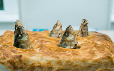 Stargazy