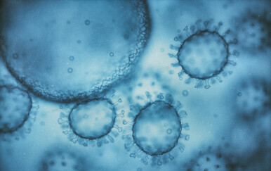Nova globalna prijetnja? Opasan virus širi se brže nego ikad