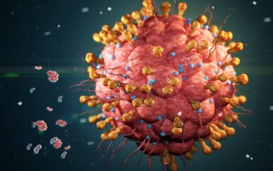 Znanstvenici: “Virus herpesa ubija stanice ovog raka!”