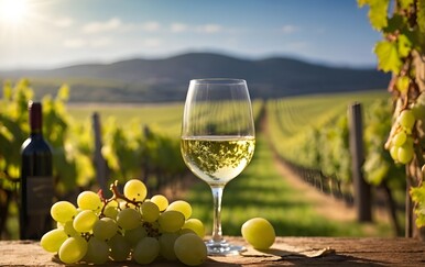 Može i bez leda: Trikovi uz koje ćete brzinski ohladiti vino