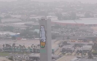 Policija uhitila muškarca koji je sprejem nacrtao grafit Pam the Bird na tornju mosta Bolte u Australiji.