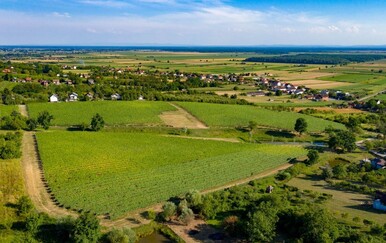 Bijeg za hedoniste: Sve više ljubitelja vina otkriva Moslavinu