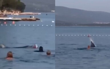 Kakva sreća: Nevjerojatna snimka proširila se društvenim mrežama