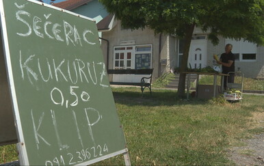 Od 50 centi do pet eura za klip: Urod šećerca odličan, ali cijene na moru i deset puta više
