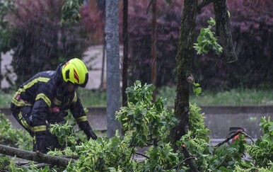 Nevrijeme u Puli: Jak vjetar srušio granu sa stabla, žena teško ozlijeđena