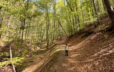 "Otkrili smo savršeno mjesto za obiteljski izlet": Zelenim stazama do Rimskog puta i Lovačkog doma Muljava