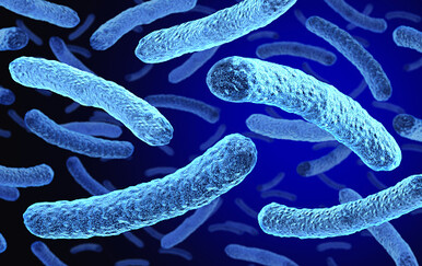 Raste broj žrtava opasne bolesti: Preminula šest osoba, vlasti otkrile što je izazvalo epidemiju