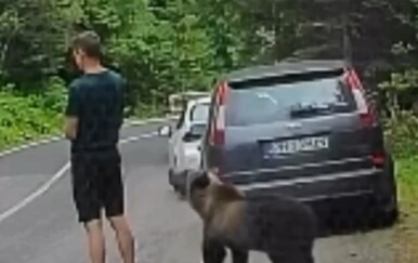 Širi se snimka iz Rumunjske na kojoj medvjed njuši turista