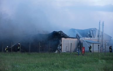 Požar na PIK-ovoj farmi u Andrijaševcima (Foto: Pixell)
