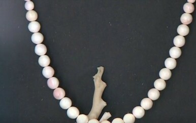 Otvoren Centar koralja na Zlarinu - 1