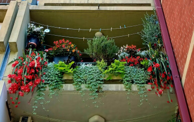 Kako izgleda najljepši zagrebački balkon