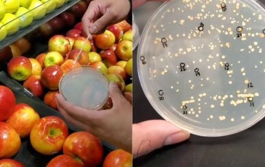 Pogledajte koliko se mikroba skriva u trgovinama, svima pokazao rezultate testiranja