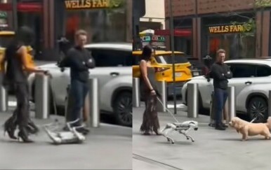 Susret pravog psa s robotskim