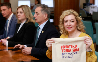 Dragana Jeckov SDSS komentirala pobjedu Pavličeka u Vukovaru