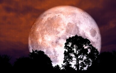 Strawberry Moon bit će spektakularan