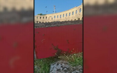 Rojevi pčela haraju jugom Istre