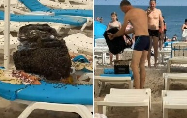 Obitelj ponijela ručak na plažu, a kad su izašli iz mora doživjeli su noćnu moru