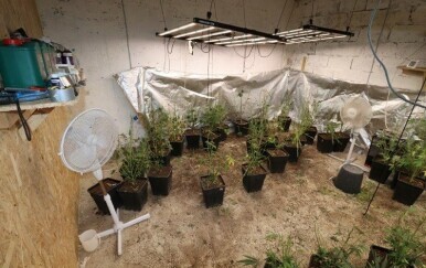 Policija u Konavlima pretragom kuće pronašla ilegalni laboratorij, amfetamin i stabljike cannabis sative