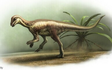 Znanstvenici otkrili potpuno novu vrstu dinosaura: Velik poput psa, izuzetno brz i veoma zanimljiv