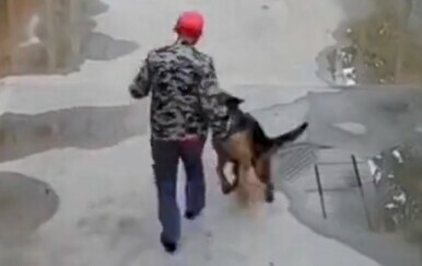 Pas tražio potpunog stranca da mu pomogne spasiti brata, snimka oduševila mnoge