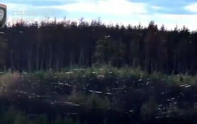 VIDEO Pogledajte nestvaran prizor na krošnjama ogromne šume u Ukrajini