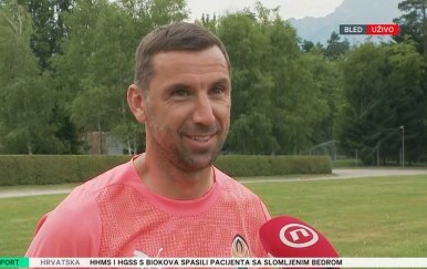 Darijo Srna