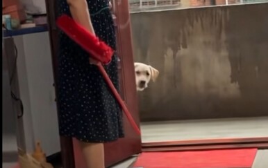 Mame su za njih strah i trepet, ovako ih ne poštuju ni vlastita djeca
