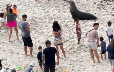 Turiste dočekalo iznenađenje na plaži, kako biste vi reagirali?