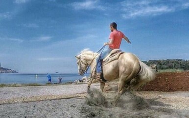 Tragedija u staji: Kobila usmrtila veterinara tijekom zahvata