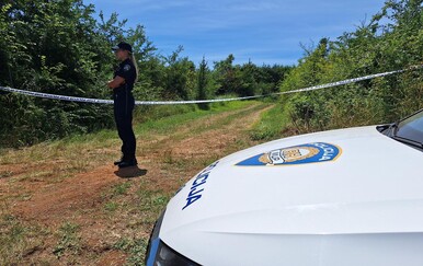 Iskusni pilot o padu aviona: "Napravio je spiralu i zabio se u zemlju"