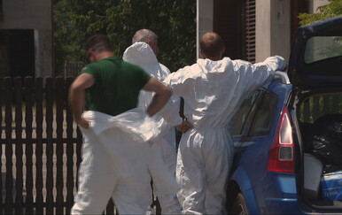 Novi slučajevi afričke svinjske kuge u Hrvatskoj: Virovitičko-podravska županija proglašena zaraženom zonom