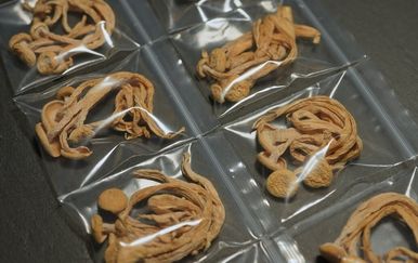 Nova studija usporedila psihodelike i antidepresive: Rezultati su iznenadili znanstvenike