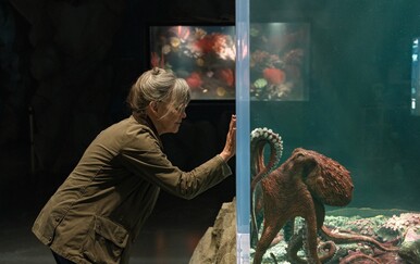 Remarkably Bright Creatures donosi priču o gubitku, nadi i novim počecima
