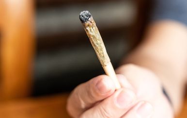 Što kanabis radi muškim hormonima? Novo istraživanje donosi neočekivane rezultate