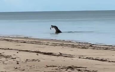 Idilična plaža puna je prijetnji, pokazala zašto se tamo nitko ne kupa