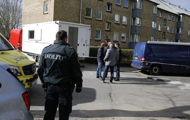 Danska policija, arhiva (Foto: AFP)