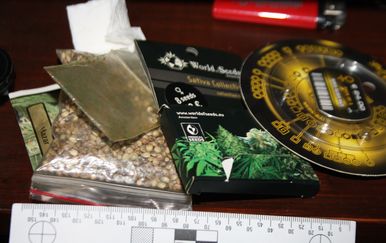 Marihuana i rizle (Foto: PU istarska)