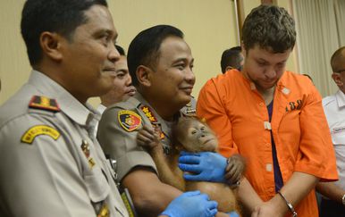 Majmunčić će biti predan u sigurne ruke (Foto: AFP)