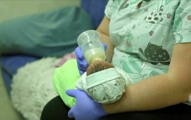 Bebe surogat-majki u Ukrajini - 1