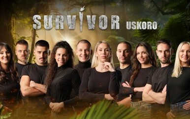 Plavi tim, Survivor