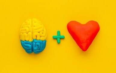 Mozak i srce