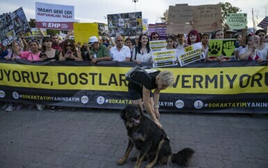 Prosvjed protiv kontroverznog zakona o psima liutalicama u Turskoj